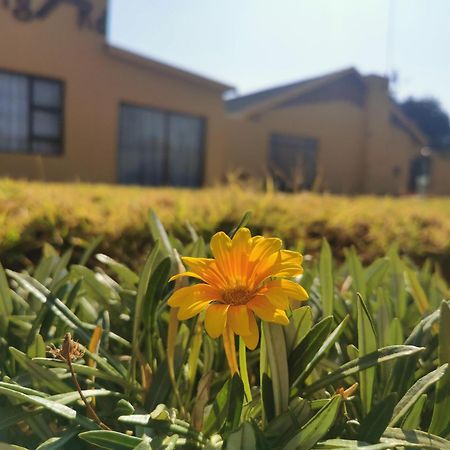 The Yellow Butterfly Vereeniging Exterior foto